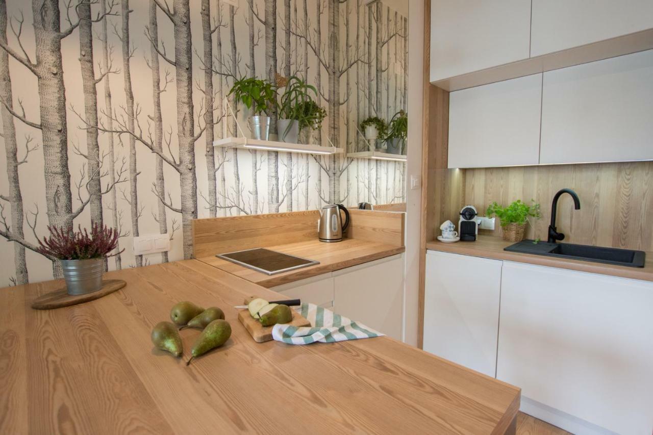 Rakowicka Apartment Cracovia Esterno foto